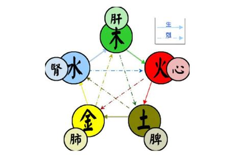 五行属土的东西|五行（对万事万物的取象比类）